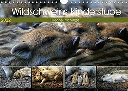 Kalender Wildschweins Kinderstube - Freche Frischlinge (Wandkalender 2022 DIN A4 quer) von Peter Hebgen