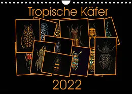 Kalender Tropische Käfer (Wandkalender 2022 DIN A4 quer) von Burkhard Körner