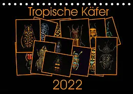 Kalender Tropische Käfer (Tischkalender 2022 DIN A5 quer) von Burkhard Körner