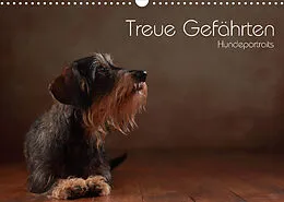 Kalender Treue Gefährten - Hundeportraits (Wandkalender 2022 DIN A3 quer) von Jana Behr