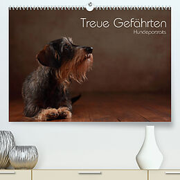 Kalender Treue Gefährten - Hundeportraits (Premium, hochwertiger DIN A2 Wandkalender 2022, Kunstdruck in Hochglanz) von Jana Behr