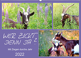 Kalender Wer zickt denn da? Mit Ziegen durchs Jahr (Wandkalender 2022 DIN A2 quer) von Sabine Löwer