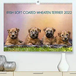 Kalender IRISH SOFT COATED WHEATEN TERRIER 2022 (Premium, hochwertiger DIN A2 Wandkalender 2022, Kunstdruck in Hochglanz) von Annett Mirsberger www.tierpfoto.de