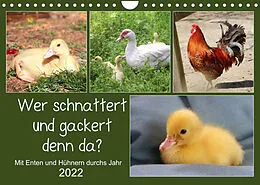 Kalender Wer gackert und schnattert denn da? Mit Enten und Hühnern durchs Jahr (Wandkalender 2022 DIN A4 quer) von Sabine Löwer