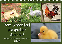 Kalender Wer gackert und schnattert denn da? Mit Enten und Hühnern durchs Jahr (Wandkalender 2022 DIN A3 quer) von Sabine Löwer