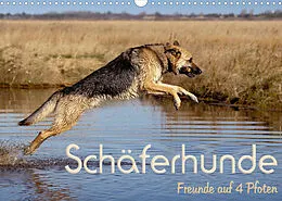 Kalender Schäferhunde - Freunde auf 4 Pfoten (Wandkalender 2022 DIN A3 quer) von Natascha Ebsen