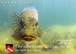 Kalender Tauchrevier Deutschland - Der Hecht (Esox lucius) (Tischkalender 2022 DIN A5 quer) von Mario Merkel. Tauchrevier Deutschland