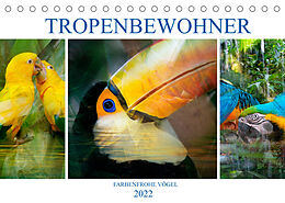 Kalender Tropenbewohner - farbenfrohe Vögel (Tischkalender 2022 DIN A5 quer) von Liselotte Brunner-Klaus