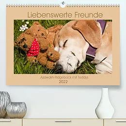Kalender Liebenswerte Freunde - Azawakh-Ridgeback mit Teddys (Premium, hochwertiger DIN A2 Wandkalender 2022, Kunstdruck in Hochglanz) von Meike Bölts