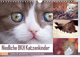 Kalender Niedliche BKH Katzenkinder (Wandkalender 2022 DIN A4 quer) von Janina Bürger