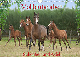 Kalender Vollblutaraber - Schönheit und Adel (Wandkalender 2022 DIN A4 quer) von Angela Münzel-Hashish - www.tierphotografie.com