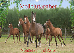 Kalender Vollblutaraber - Schönheit und Adel (Wandkalender 2022 DIN A3 quer) von Angela Münzel-Hashish - www.tierphotografie.com