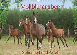 Kalender Vollblutaraber - Schönheit und Adel (Wandkalender 2022 DIN A3 quer) von Angela Münzel-Hashish - www.tierphotografie.com