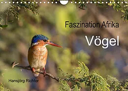 Kalender Faszination Afrika - Vögel (Wandkalender 2022 DIN A4 quer) von www.hjr-fotografie.de