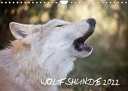 Kalender Wolfshunde 2022 (Wandkalender 2022 DIN A4 quer) von ARTness Photographie