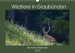 Kalender Wildtiere in Graubünden - Die Natur entdecken! (Wandkalender 2022 DIN A3 quer) von www.naturfoto-plattner.ch Jürg Plattner