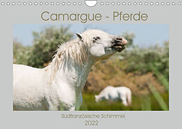 Kalender Camargue-Pferde - Südfranzösische Schimmel (Wandkalender 2022 DIN A4 quer) von Meike Bölts