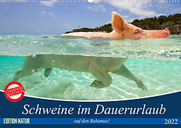 Kalender Schweine im Dauerurlaub auf den Bahamas! (Wandkalender 2022 DIN A2 quer) von Elisabeth Stanzer