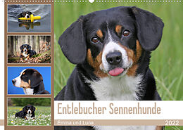 Kalender Entlebucher Sennenhunde Emma und Luna (Wandkalender 2022 DIN A2 quer) von SchnelleWelten