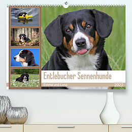 Kalender Entlebucher Sennenhunde Emma und Luna (Premium, hochwertiger DIN A2 Wandkalender 2022, Kunstdruck in Hochglanz) von SchnelleWelten