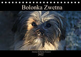 Kalender Bolonka Zwetna 2022 (Tischkalender 2022 DIN A5 quer) von Antonia Katharina Tessnow