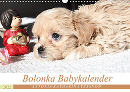 Kalender Bolonka Babykalender 2022 (Wandkalender 2022 DIN A3 quer) von Antonia Katharina Tessnow