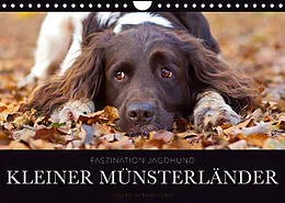 Kalender Faszination Jagdhund - Kleiner Münsterländer (Wandkalender 2022 DIN A4 quer) von Nadine Gerlach