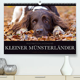 Kalender Faszination Jagdhund - Kleiner Münsterländer (Premium, hochwertiger DIN A2 Wandkalender 2022, Kunstdruck in Hochglanz) von Nadine Gerlach