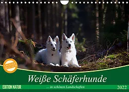 Kalender Weiße Schäferhunde in schönen Landschaften (Wandkalender 2022 DIN A4 quer) von Martina Schikore