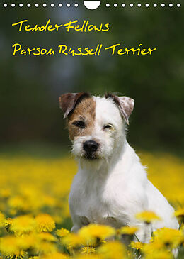 Kalender Tender Fellows - Parson Russell Terrier (Wandkalender 2022 DIN A4 hoch) von Maike Clüver