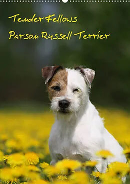 Kalender Tender Fellows - Parson Russell Terrier (Wandkalender 2022 DIN A2 hoch) von Maike Clüver