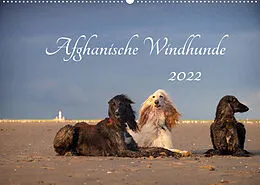 Kalender AFGHANISCHE WINDHUNDE 2022 (Wandkalender 2022 DIN A2 quer) von Annett Mirsberger annettmirsberger.de