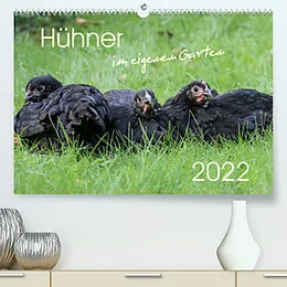 Kalender Hühner im eigenen Garten (Premium, hochwertiger DIN A2 Wandkalender 2022, Kunstdruck in Hochglanz) von Nicole Stephan