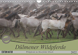 Kalender Dülmener Wildpferde - Wildpferde im Meerfelder Bruch (Wandkalender 2022 DIN A4 quer) von B. Mielewczyk
