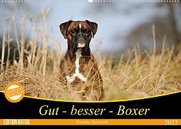 Kalender Gut - besser - Boxer (Wandkalender 2022 DIN A2 quer) von Yvonne Janetzek