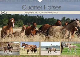 Kalender Quarter Horses - Die größte Zuchtbuchrasse der Welt (Wandkalender 2022 DIN A3 quer) von B. Mielewczyk