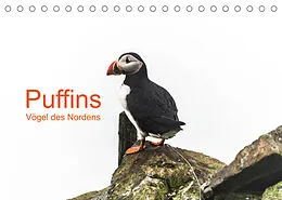 Kalender Puffins - Vögel des Nordens (Tischkalender 2022 DIN A5 quer) von Geertje Jacob