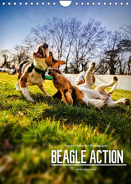 Kalender Beagle Action - Wilde Kuscheltiere (Wandkalender 2022 DIN A4 hoch) von Gregor Hartmann