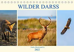 Kalender Wilder Darß - Fuchs, Hirsch und Co. 2022 (Tischkalender 2022 DIN A5 quer) von Daniela Beyer (Moqui)