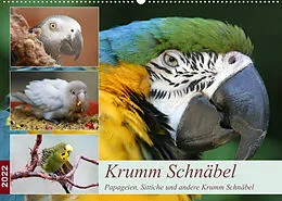Kalender Krumm Schnäbel - Papageien, Sittiche und andere Krumm Schnäbel (Wandkalender 2022 DIN A2 quer) von Barbara Mielewczyk