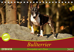 Kalender Bullterrier, Powerpakete auf 4 Pfoten (Tischkalender 2022 DIN A5 quer) von Yvonne Janetzek