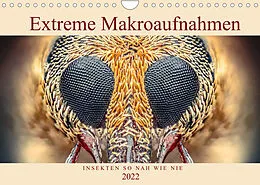 Kalender Extreme Makroaufnahmen - Insekten so nah wie nie (Wandkalender 2022 DIN A4 quer) von Ferdigrafie
