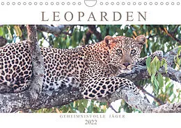 Kalender Leoparden - Geheimnisvolle Jäger (Wandkalender 2022 DIN A4 quer) von Andreas Lippmann