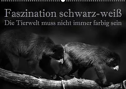 Kalender Faszination schwarz-weiß - Die Tierwelt muss nicht immer farbig sein (Wandkalender 2022 DIN A2 quer) von Eleonore Swierczyna