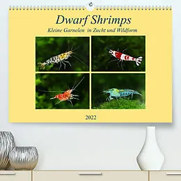 Kalender Dwarf Shrimps - kleine Garnelen (Premium, hochwertiger DIN A2 Wandkalender 2022, Kunstdruck in Hochglanz) von Rudolf Pohlmann