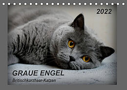 Kalender GRAUE ENGEL Britischkurzhaar-Katzen (Tischkalender 2022 DIN A5 quer) von Jacky-fotos