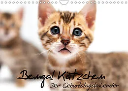 Kalender Bengal Kätzchen - Der Geburtstagskalender (Wandkalender 2022 DIN A4 quer) von Sylke Enderlein - Bethari Bengals