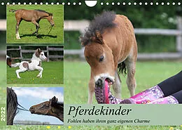 Kalender Pferdekinder - Fohlen haben ihren ganz eigenen Charme (Wandkalender 2022 DIN A4 quer) von Barbara Mielewczyk