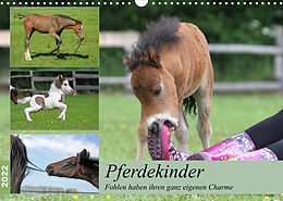 Kalender Pferdekinder - Fohlen haben ihren ganz eigenen Charme (Wandkalender 2022 DIN A3 quer) von Barbara Mielewczyk