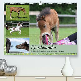 Kalender Pferdekinder - Fohlen haben ihren ganz eigenen Charme (Premium, hochwertiger DIN A2 Wandkalender 2022, Kunstdruck in Hochglanz) von Barbara Mielewczyk